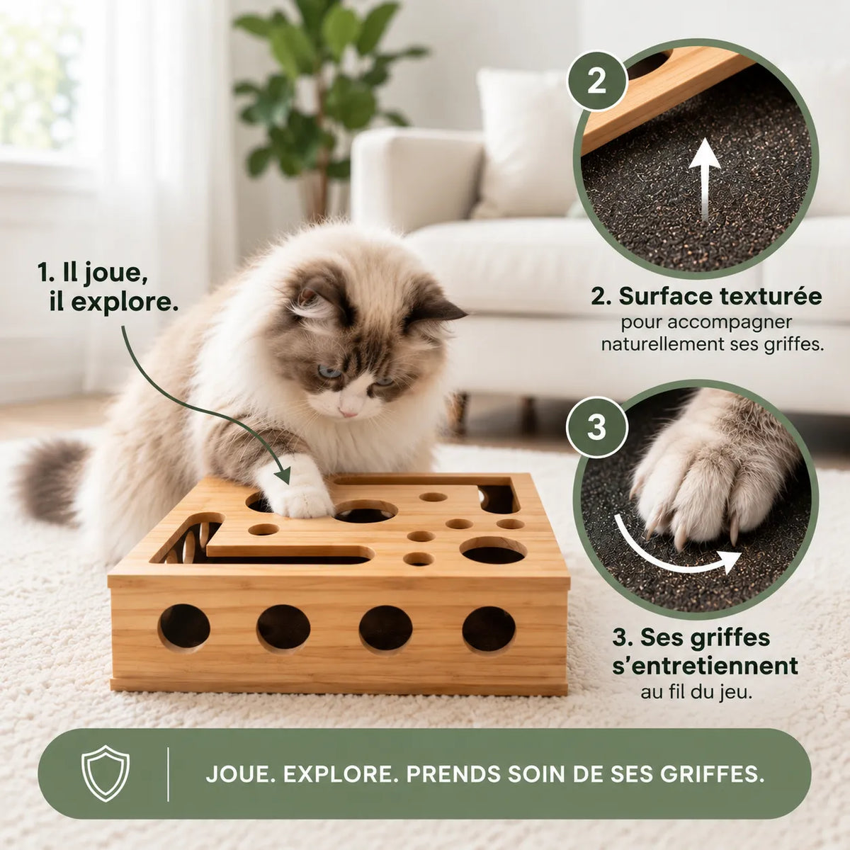 Boîte d'éveil Minou & Co, jeu de chasse et entretien des griffes