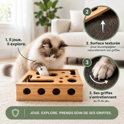 Boîte d'éveil Minou & Co, jeu de chasse et entretien des griffes