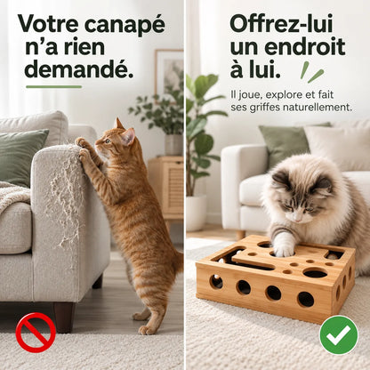Boîte d'éveil Minou & Co, jeu de chasse et entretien des griffes