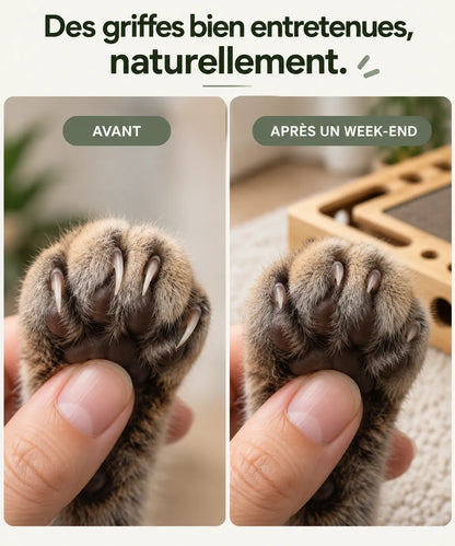 Boîte d'éveil Minou & Co, jeu de chasse et entretien des griffes