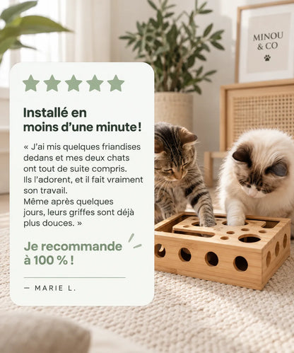 Boîte d'éveil Minou & Co, jeu de chasse et entretien des griffes