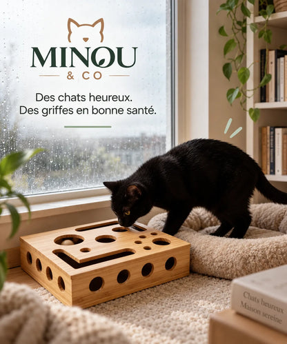 Boîte d'éveil Minou & Co, jeu de chasse et entretien des griffes