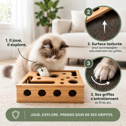 Boîte d'éveil Minou & Co, jeu de chasse et entretien des griffes