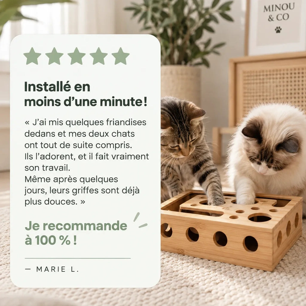 Boîte d'éveil Minou & Co, jeu de chasse et entretien des griffes