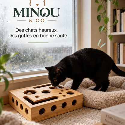 Boîte d'éveil Minou & Co, jeu de chasse et entretien des griffes